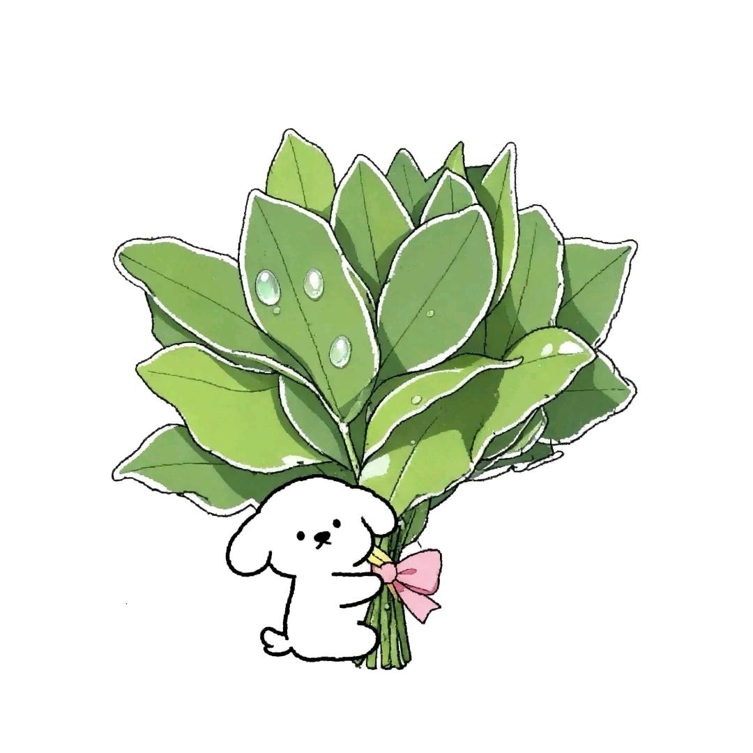 香菜🐿