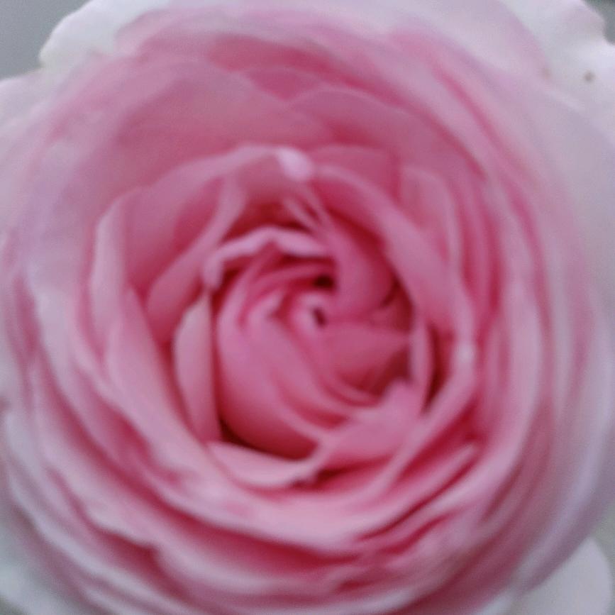 范集富实超市晓敏请不要连赞