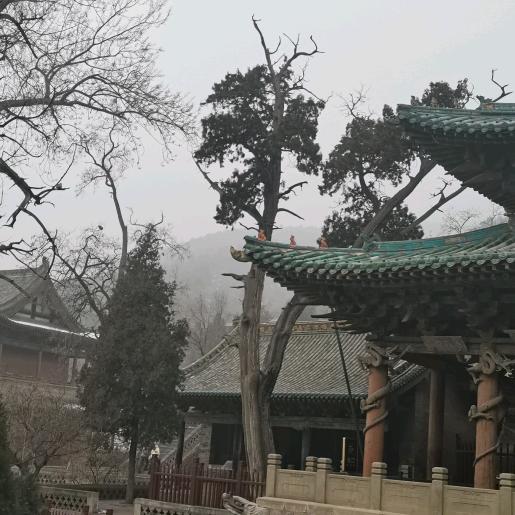 森林大海