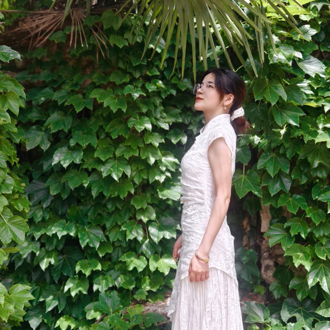 小白鸽🕊