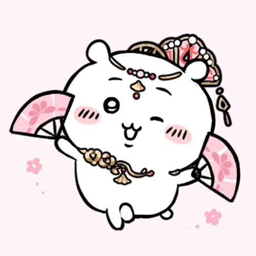 修罗今天拍照了吗