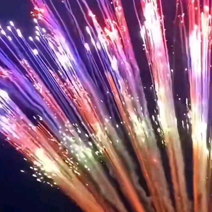 人生