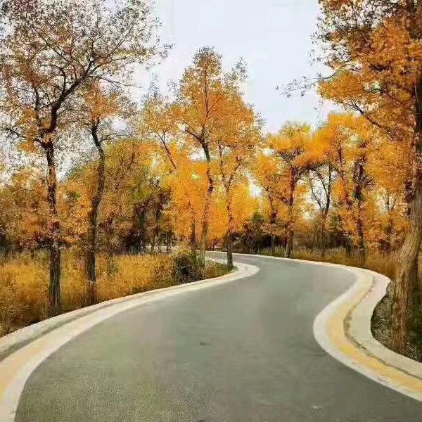 吐尔洪 138