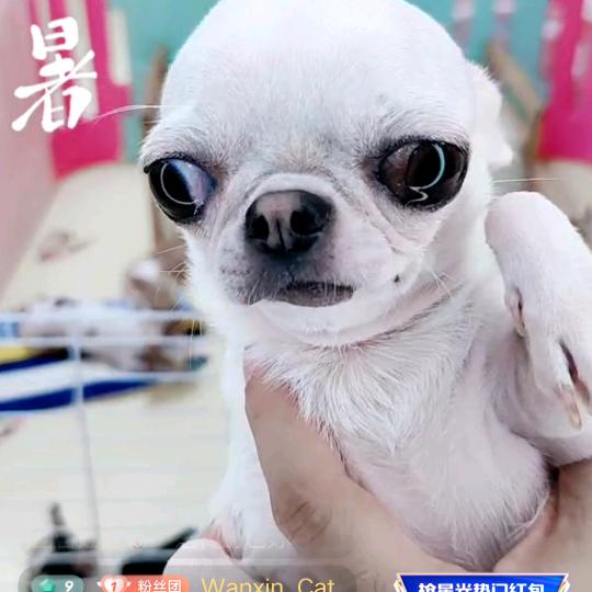 用户8408127619080