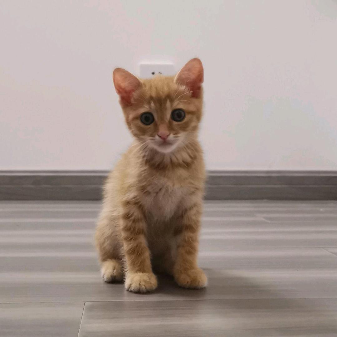 @殷哥