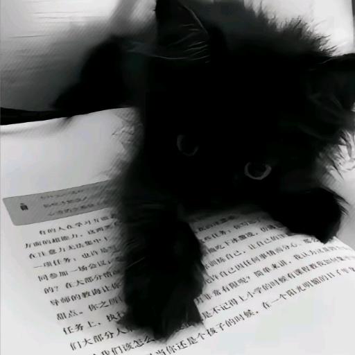 小d