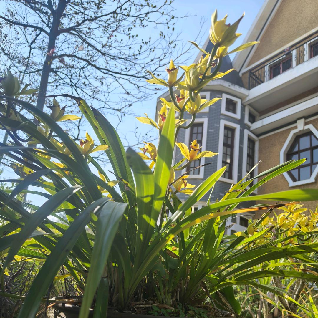 💗Li Sisi💗᭄小任性