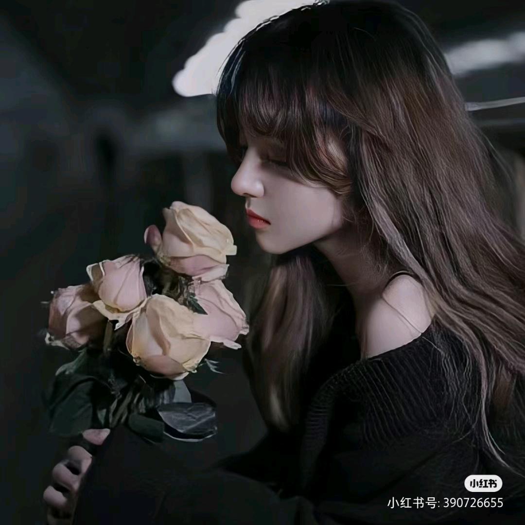石不上进۔