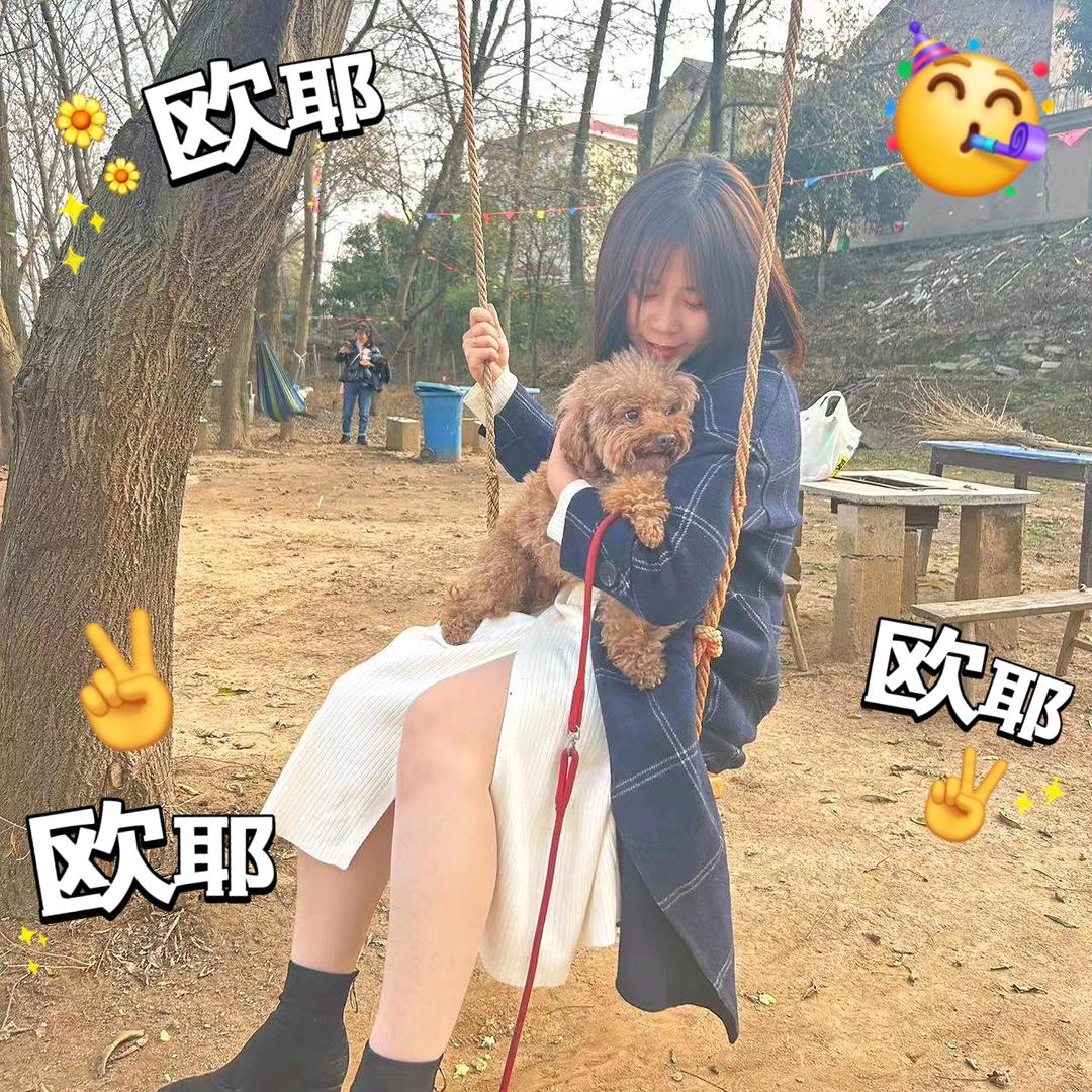 姓周的周，周婷的婷
