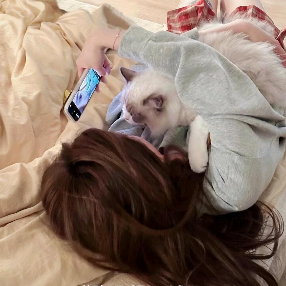 三只松鼠🐿️2.0