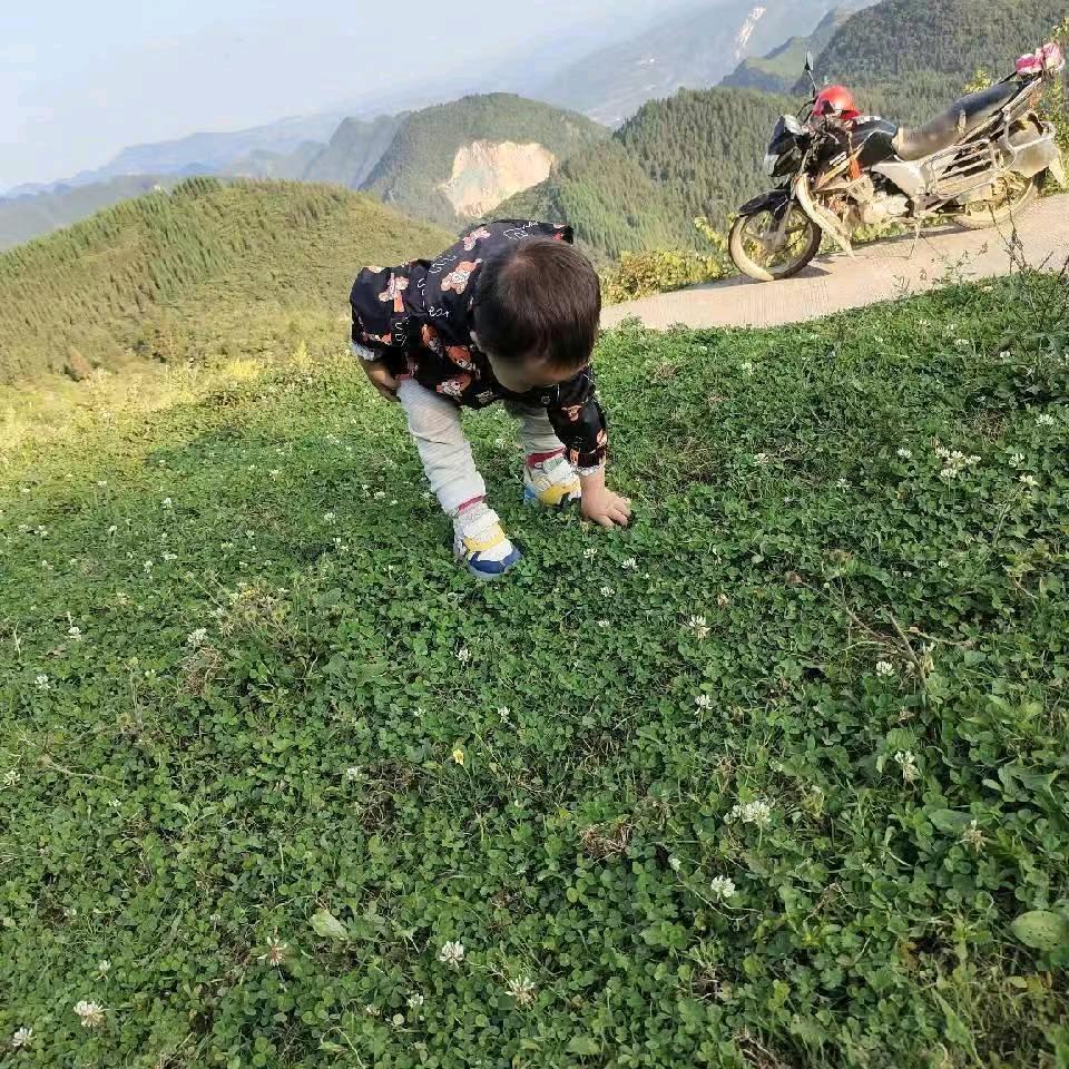 姑娘你要嫁给我