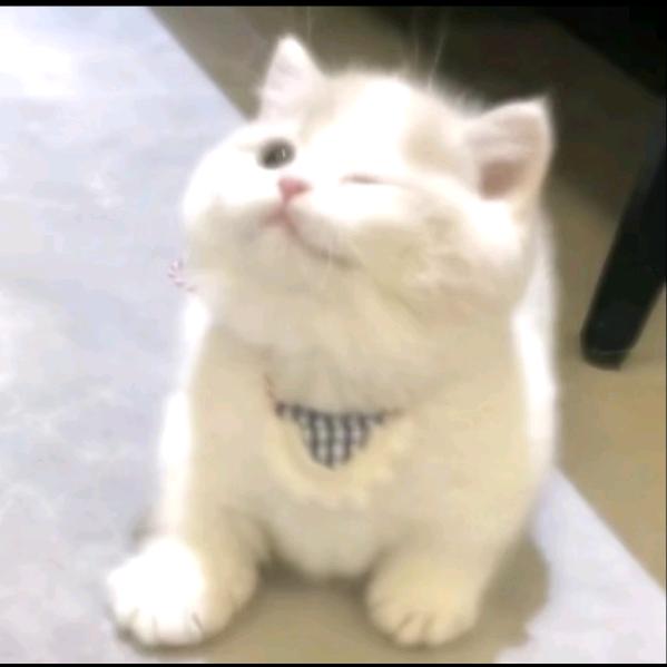 一半一半