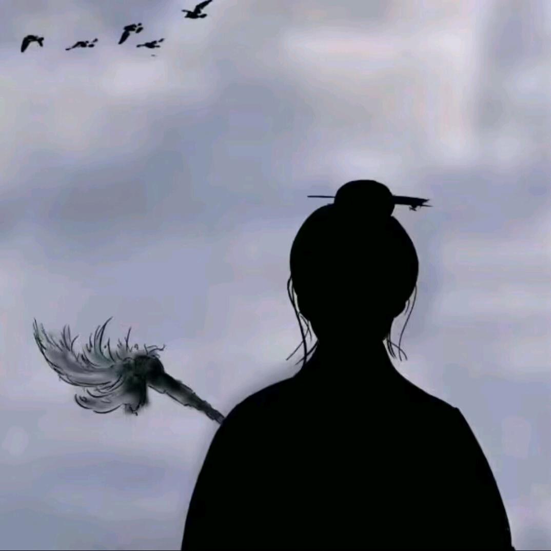 赵希先生