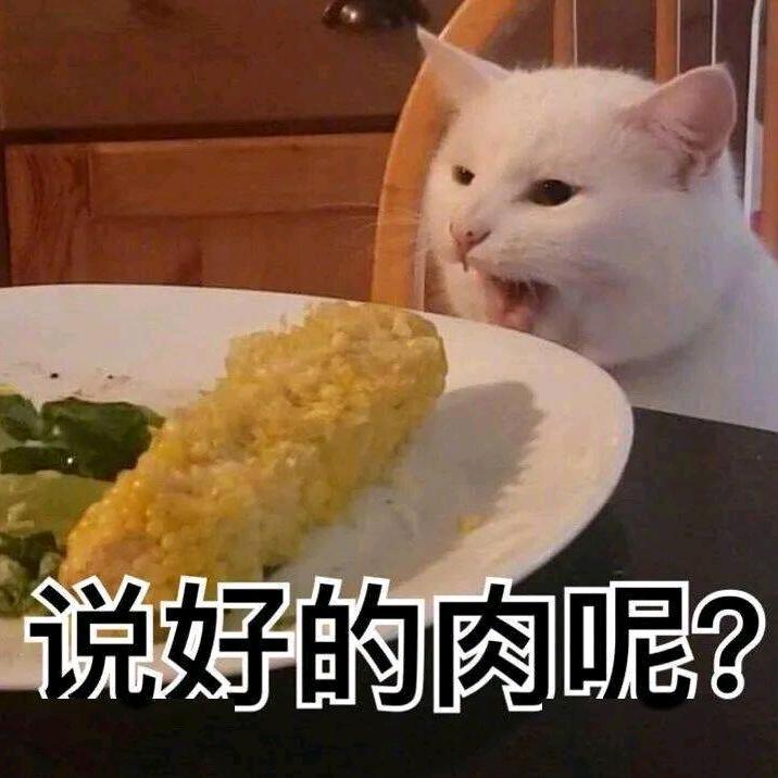 兔兔🐇大魔王