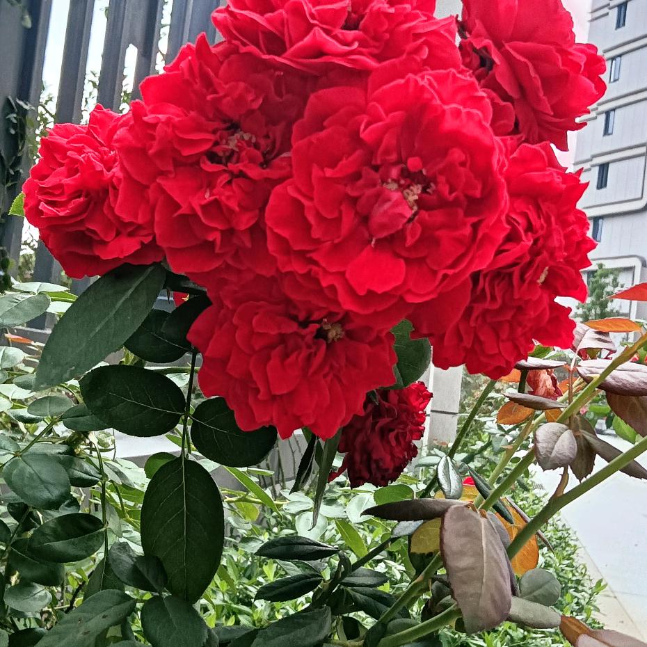 用心过好每一天⭐️⭐️⭐️