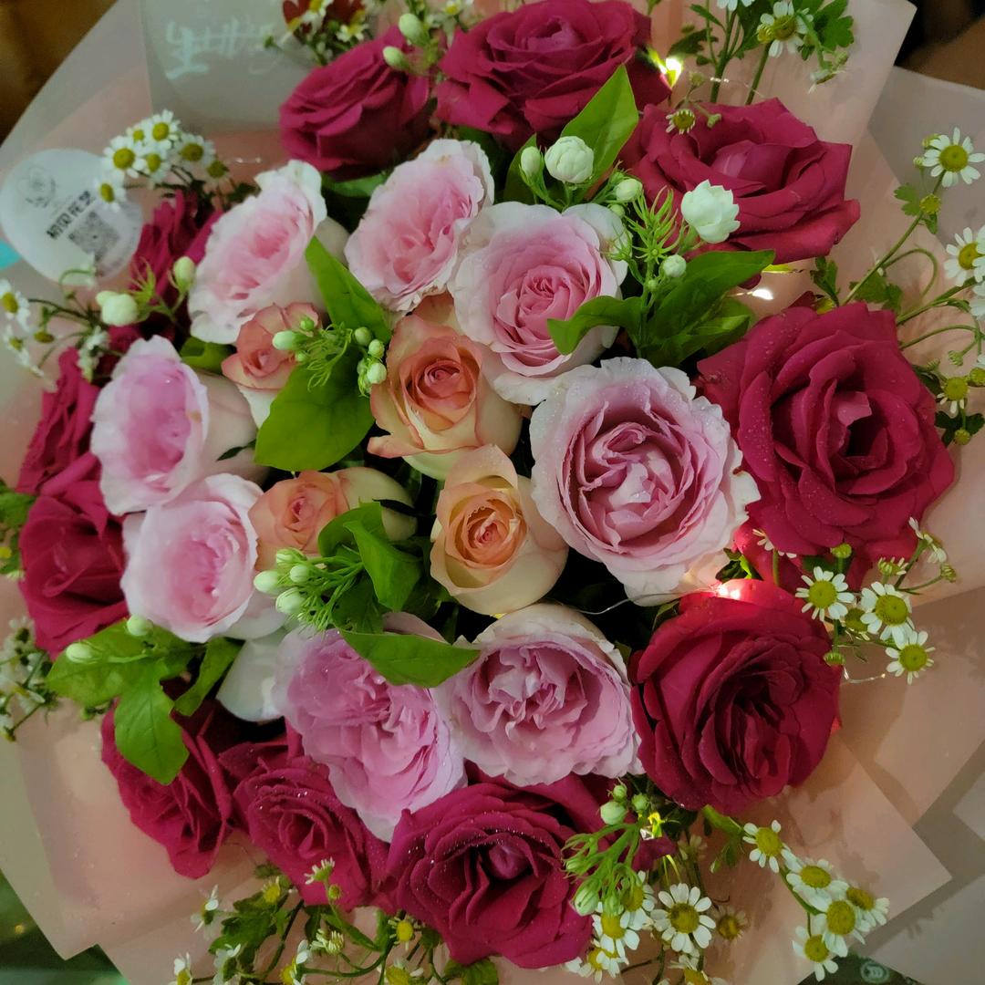 花逝无痕梦