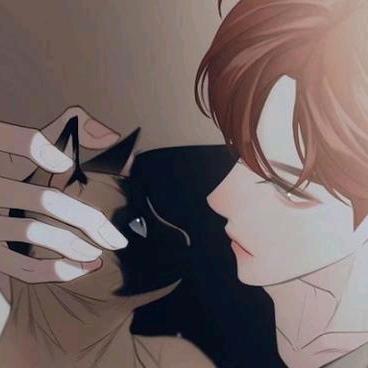 是只浩猫啊