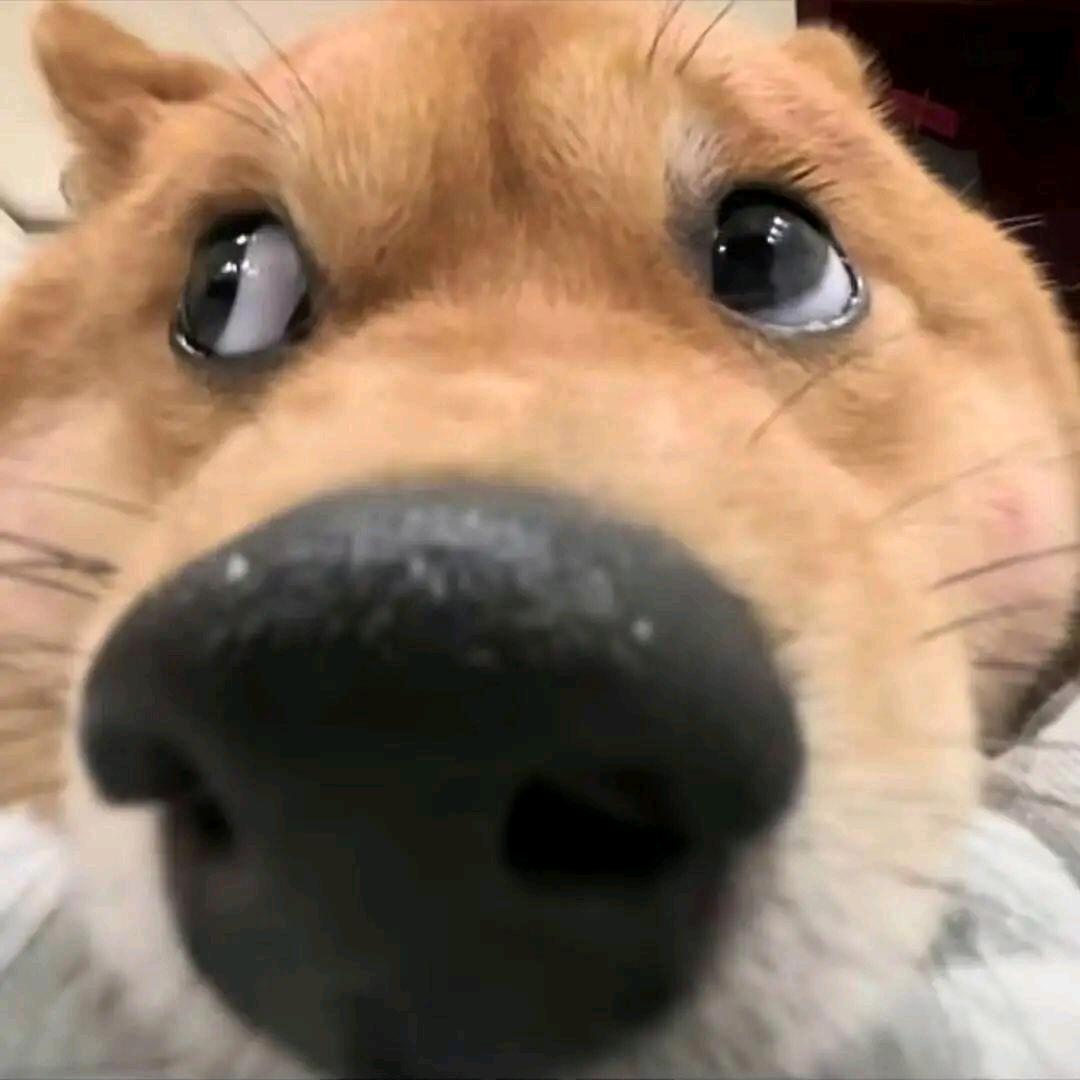 Why