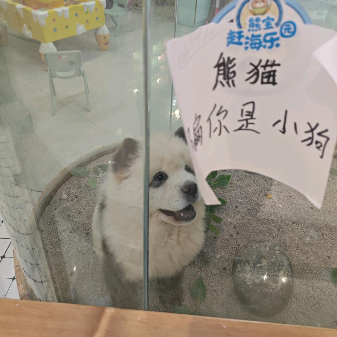 覆水中月