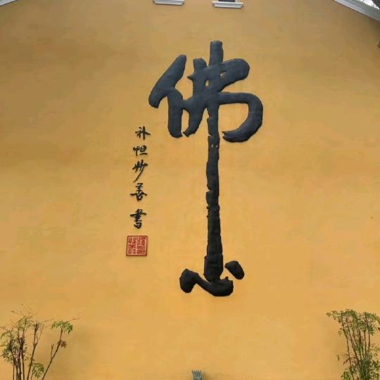 在线解答小花