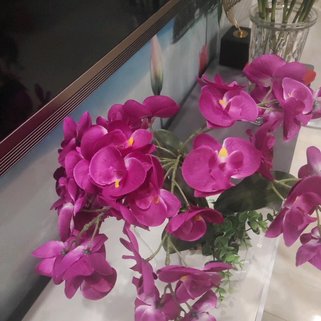 一辈子潇潇洒洒