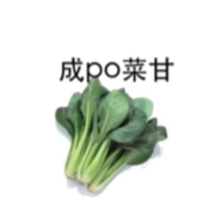 菜甘