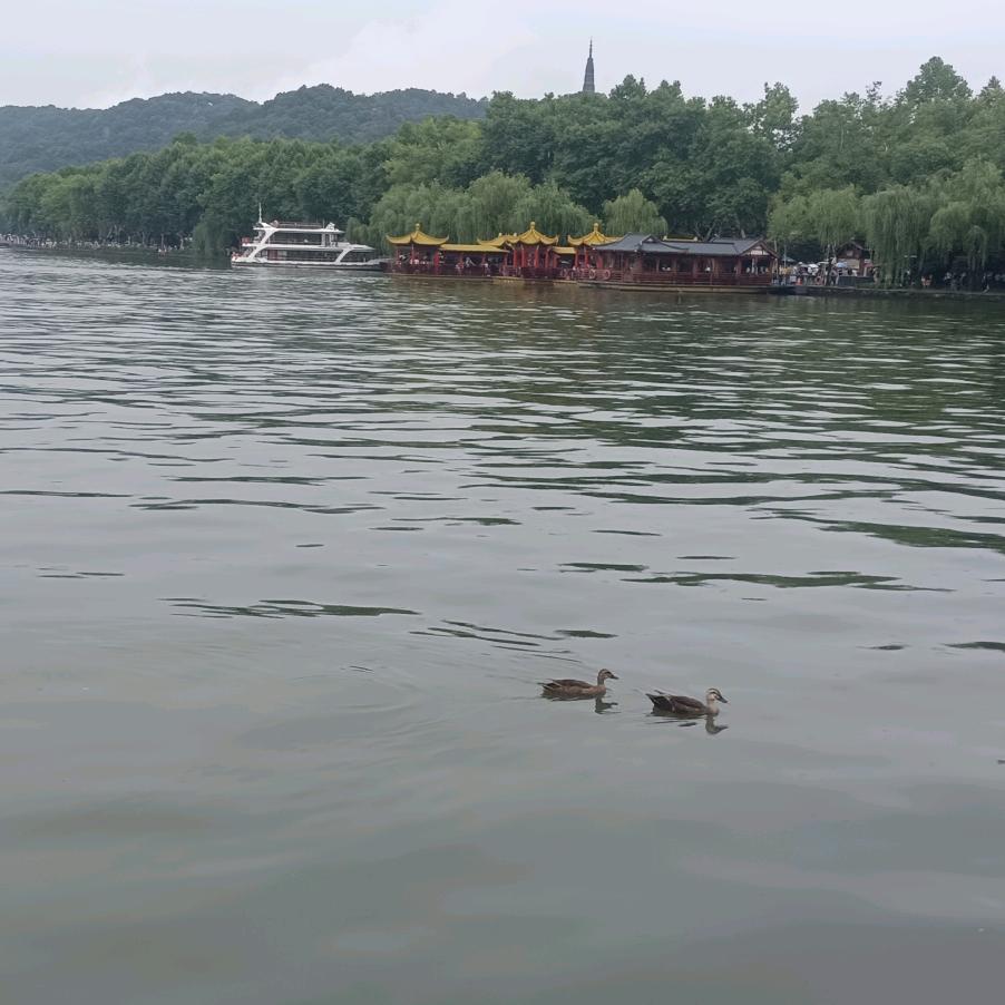 义乌店爆莫超臻选阁