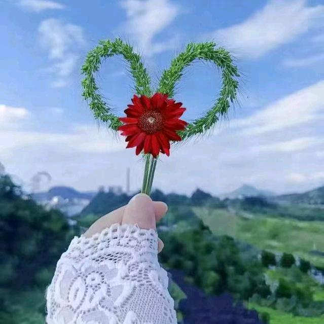 🍓℡