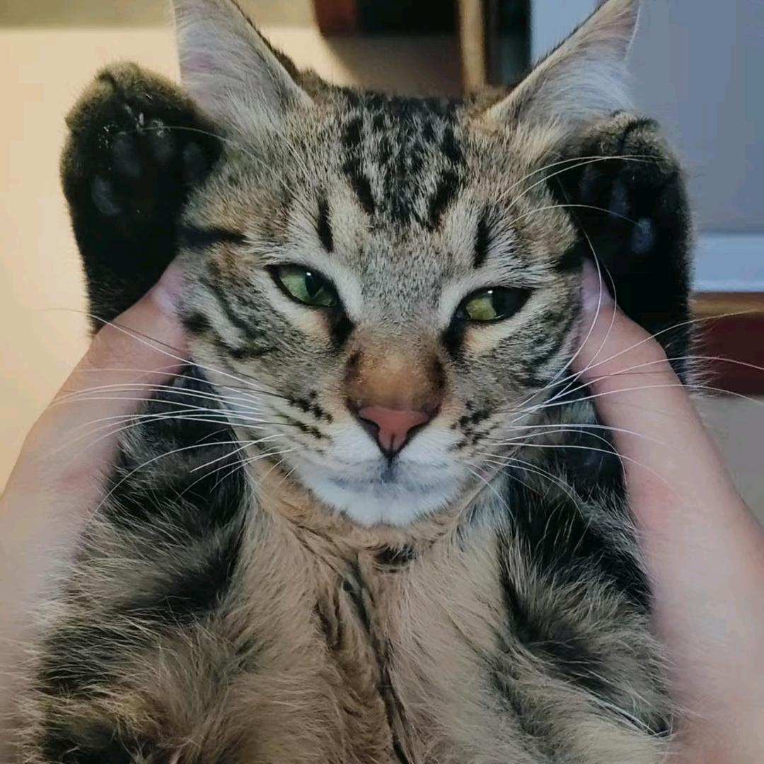 AAAaaaa桃桃大王ಣ