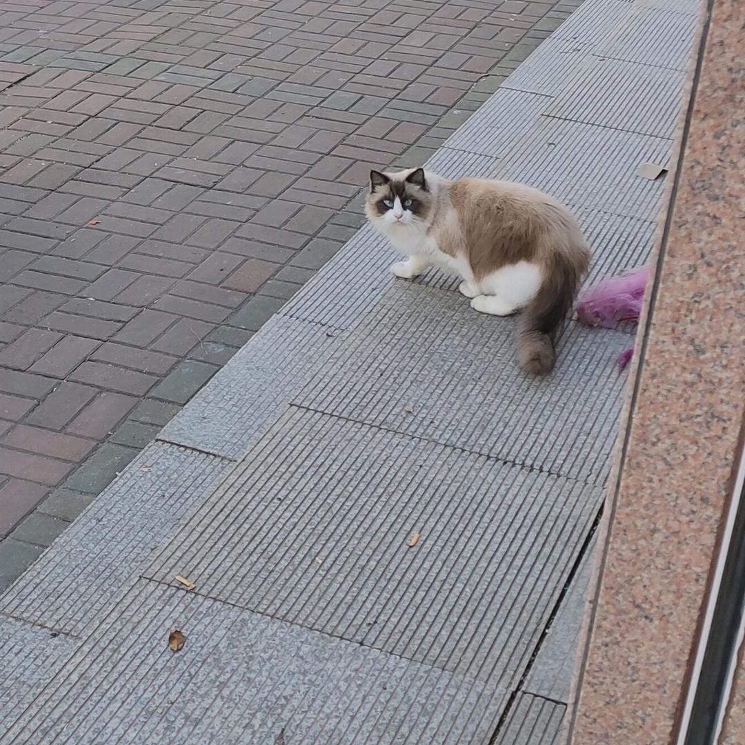 爱  不属瑀？