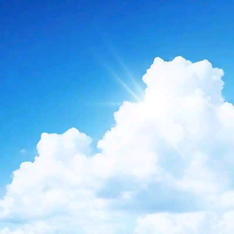 🍀一叶暴富💰