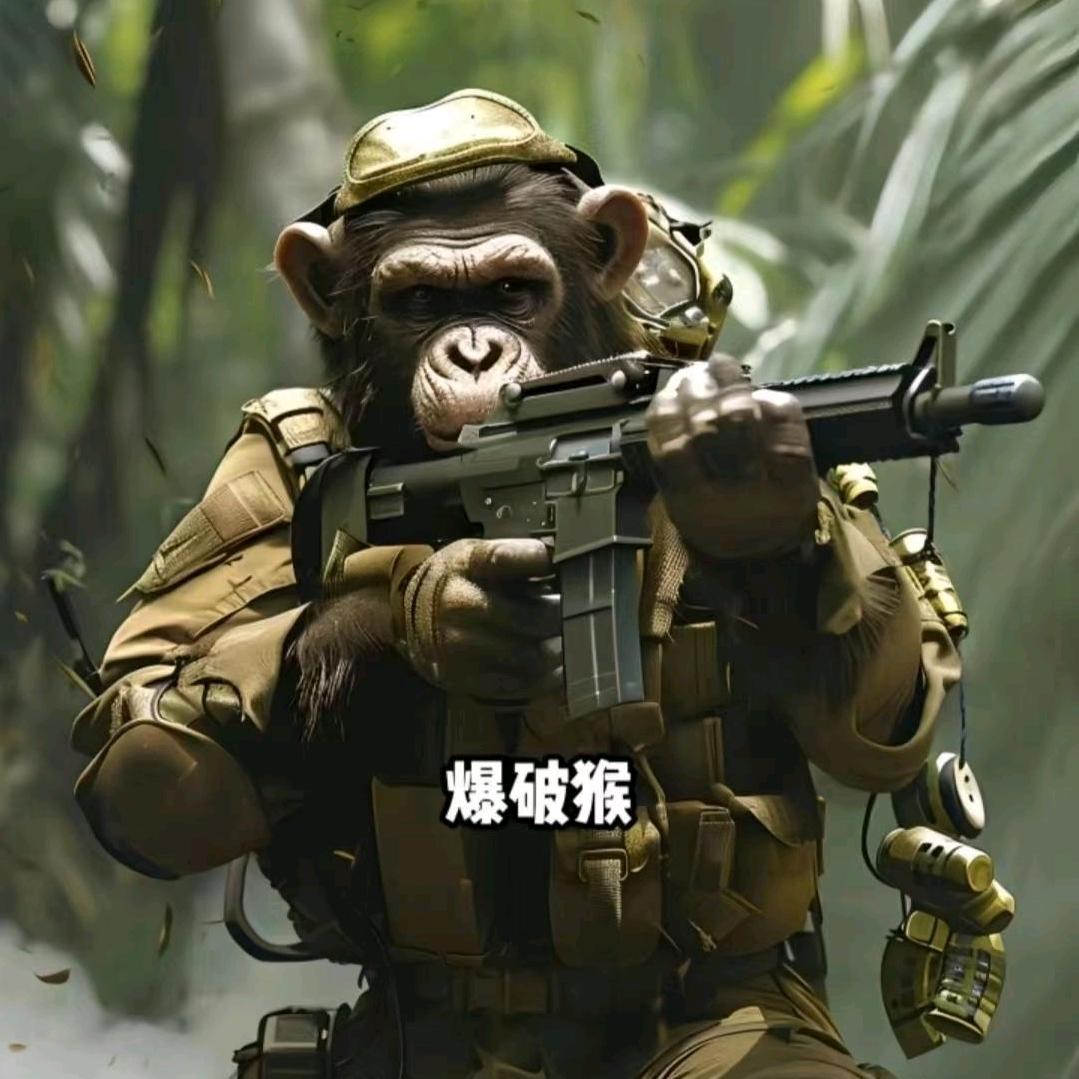 齐的隆冬强
