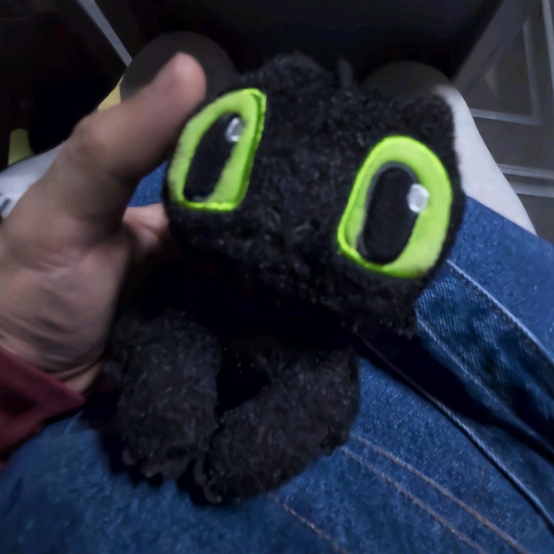 猪猪小海