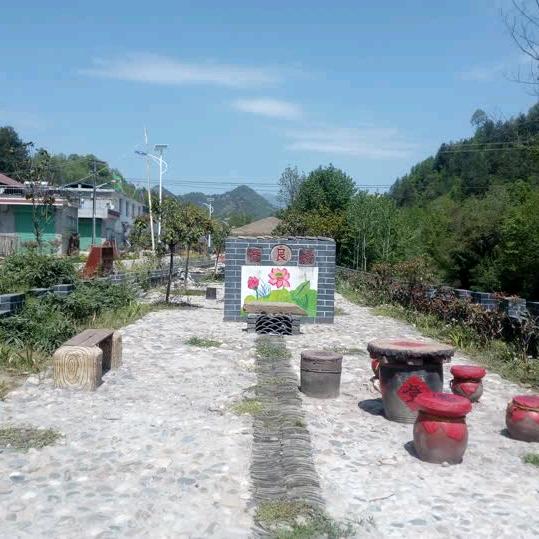 樱花树下的蓝花草