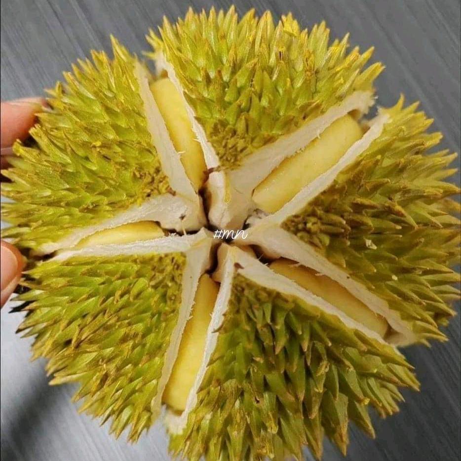 顺 心❤️