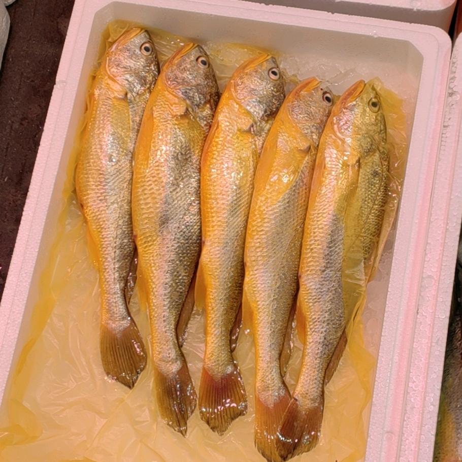 中高档海鲜码头直达市场