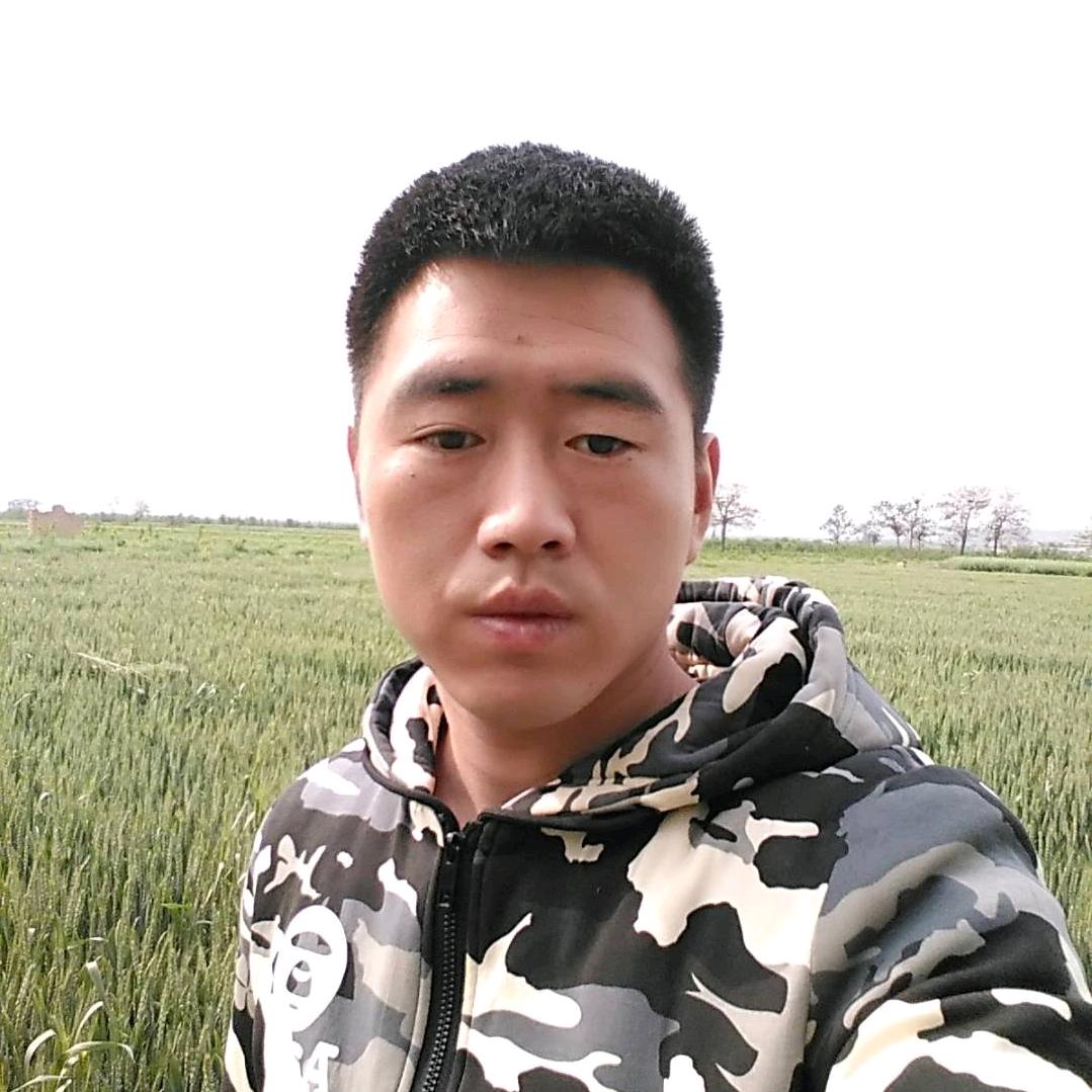 搬砖生活
