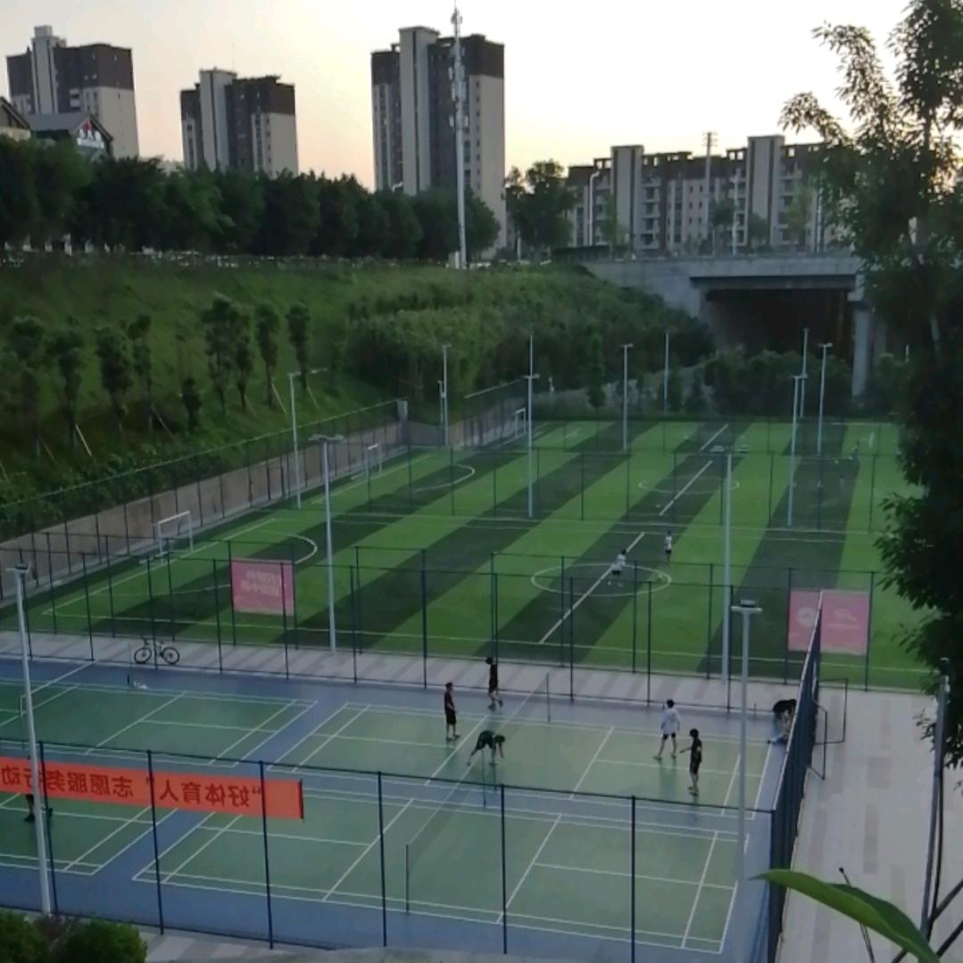 瑞丝糖