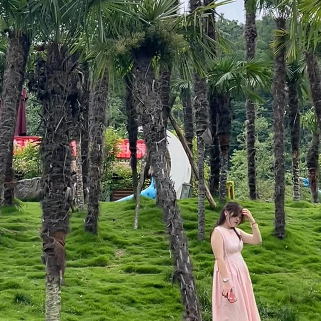 李温柔🫧