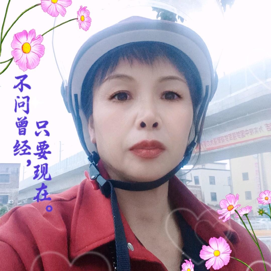 野生中草药皇后