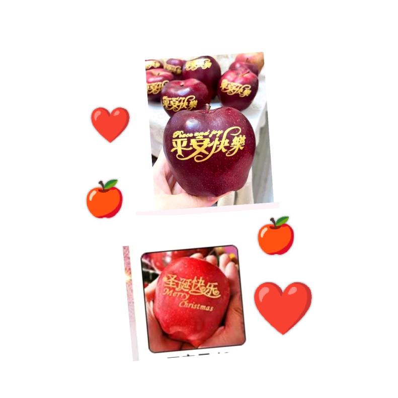 问心无愧的我86214🍁🍁🍁🍁