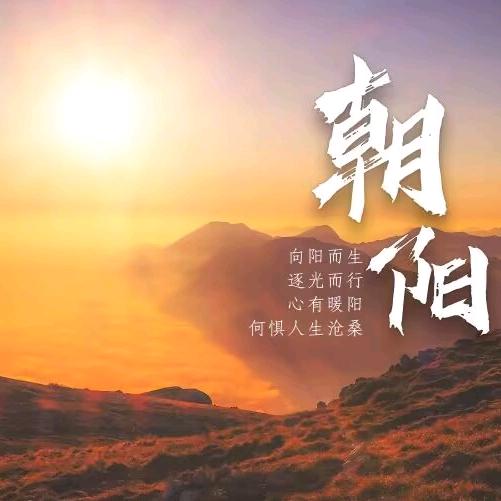 麦昆回来啦