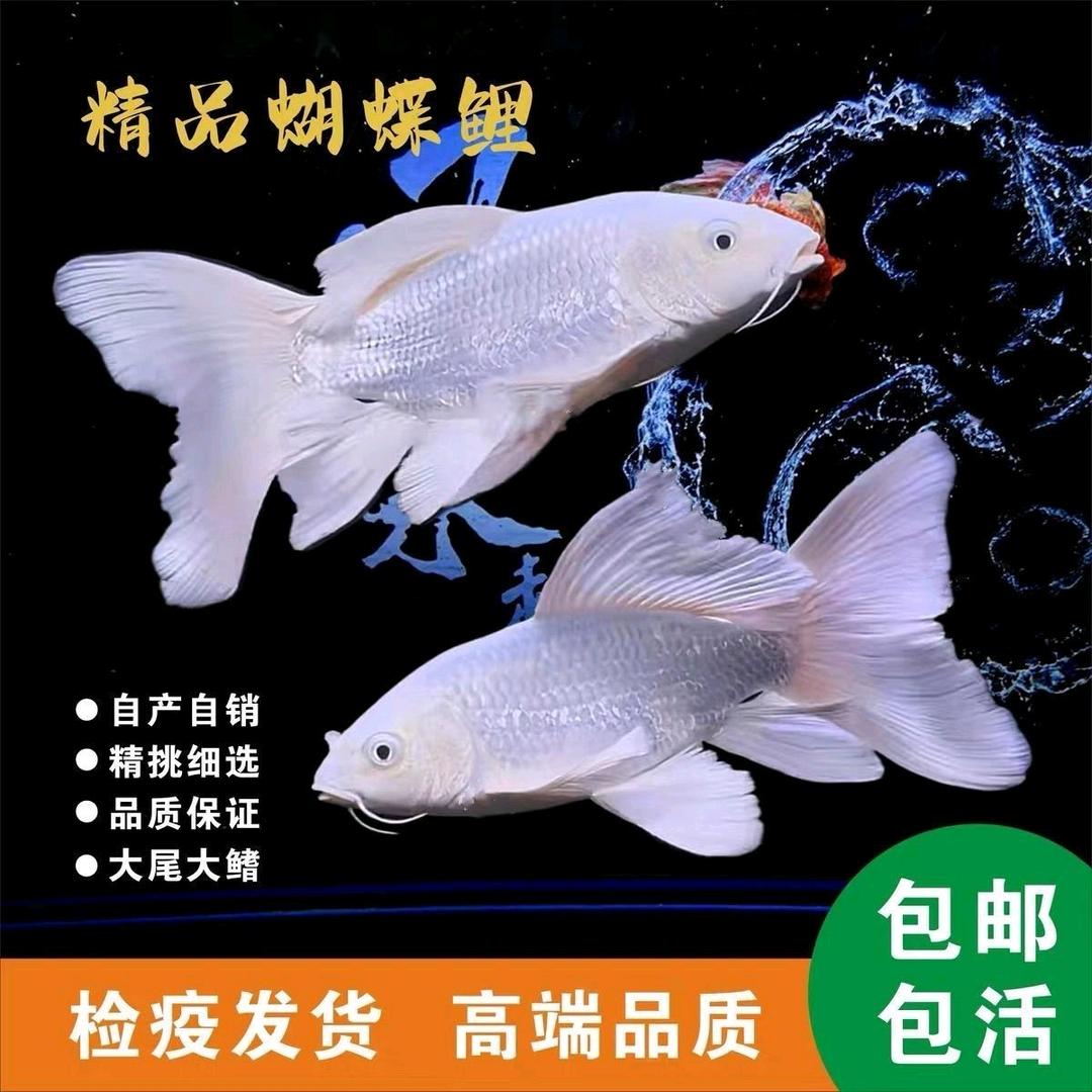 渔家傲水族馆