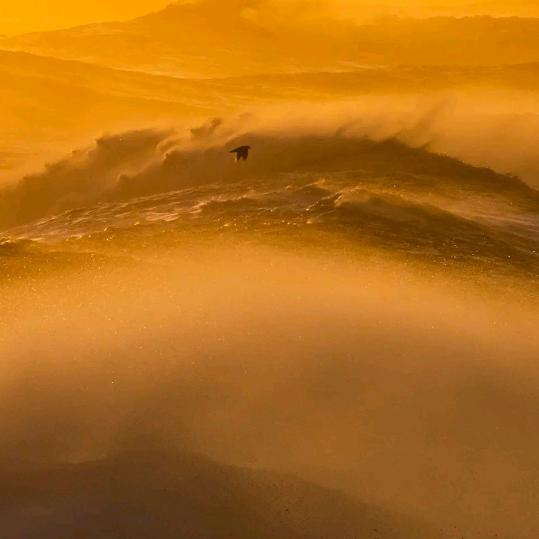 忆果时光十八中店