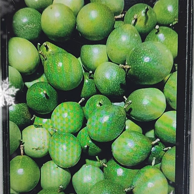 熊香秘境