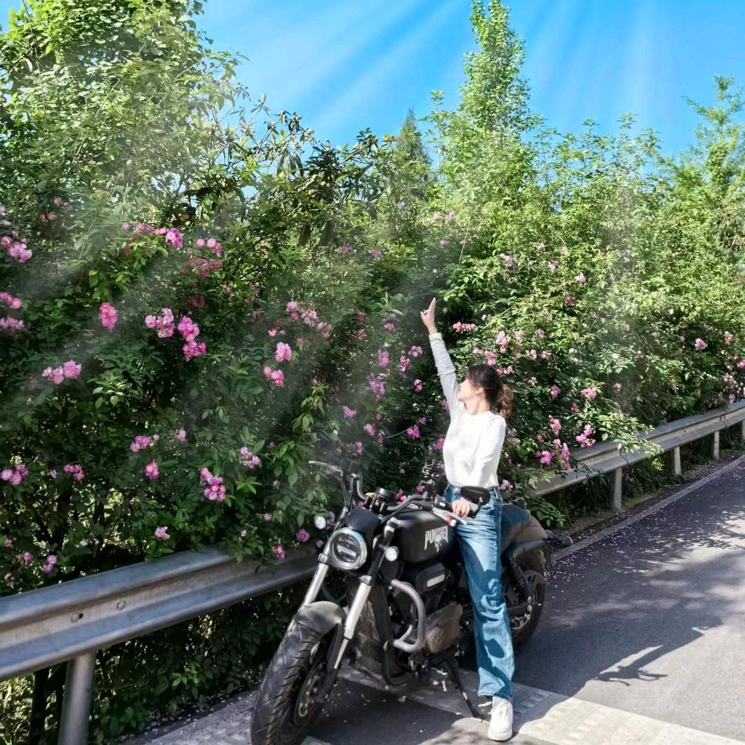 Mོ࿐