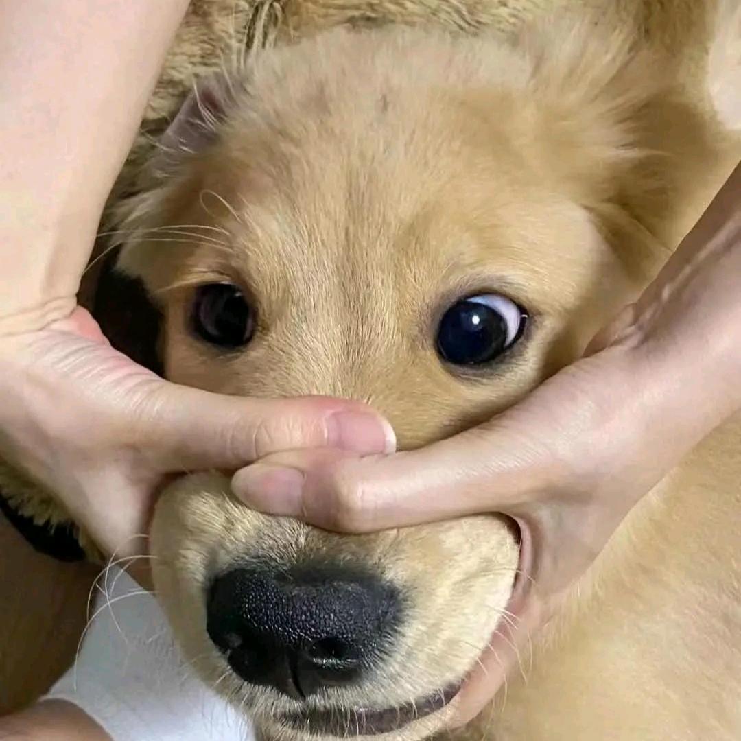 银一