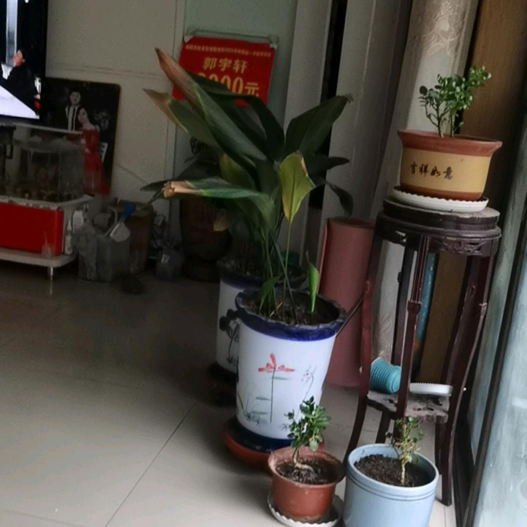 懂我的人