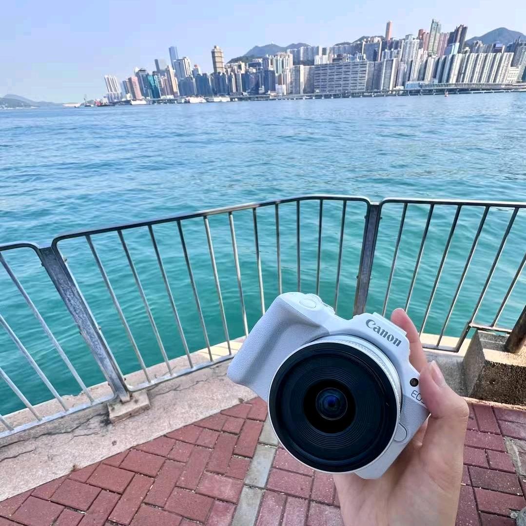 把你揍成鼠标