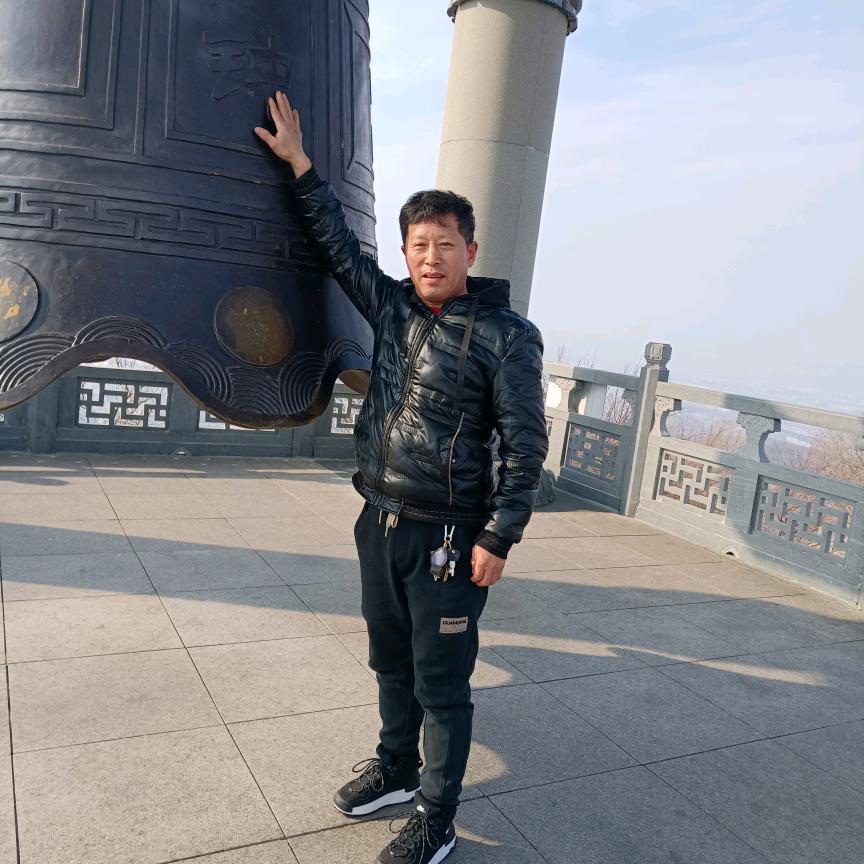 杨师傅（专业装修）
